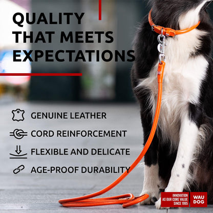 Orange Rolled Leather Dog Leash 4Ft x 0.4 in for Small Medium and Large Dogs Heavy Duty Leather Puppy Leash for Outdoor  image 3