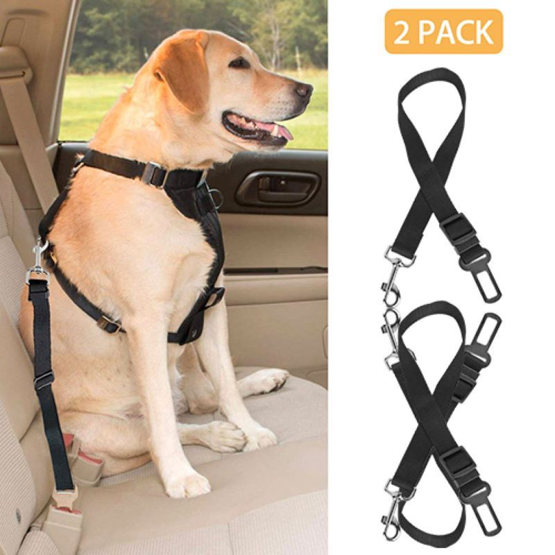 Pet Safety and Health Care Products image 2