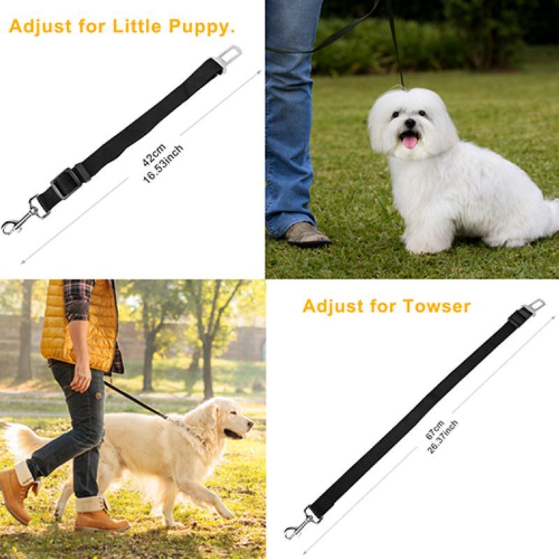 Pet Safety and Health Care Products image 4