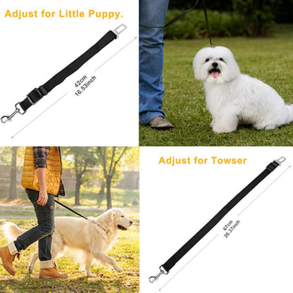 Pet Safety and Health Care Products image 4