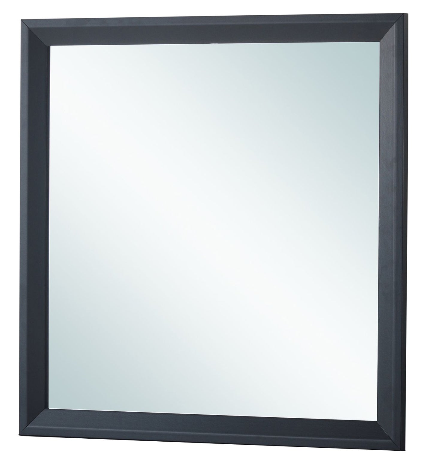 Primo G1336-M Mirror , Black image 2