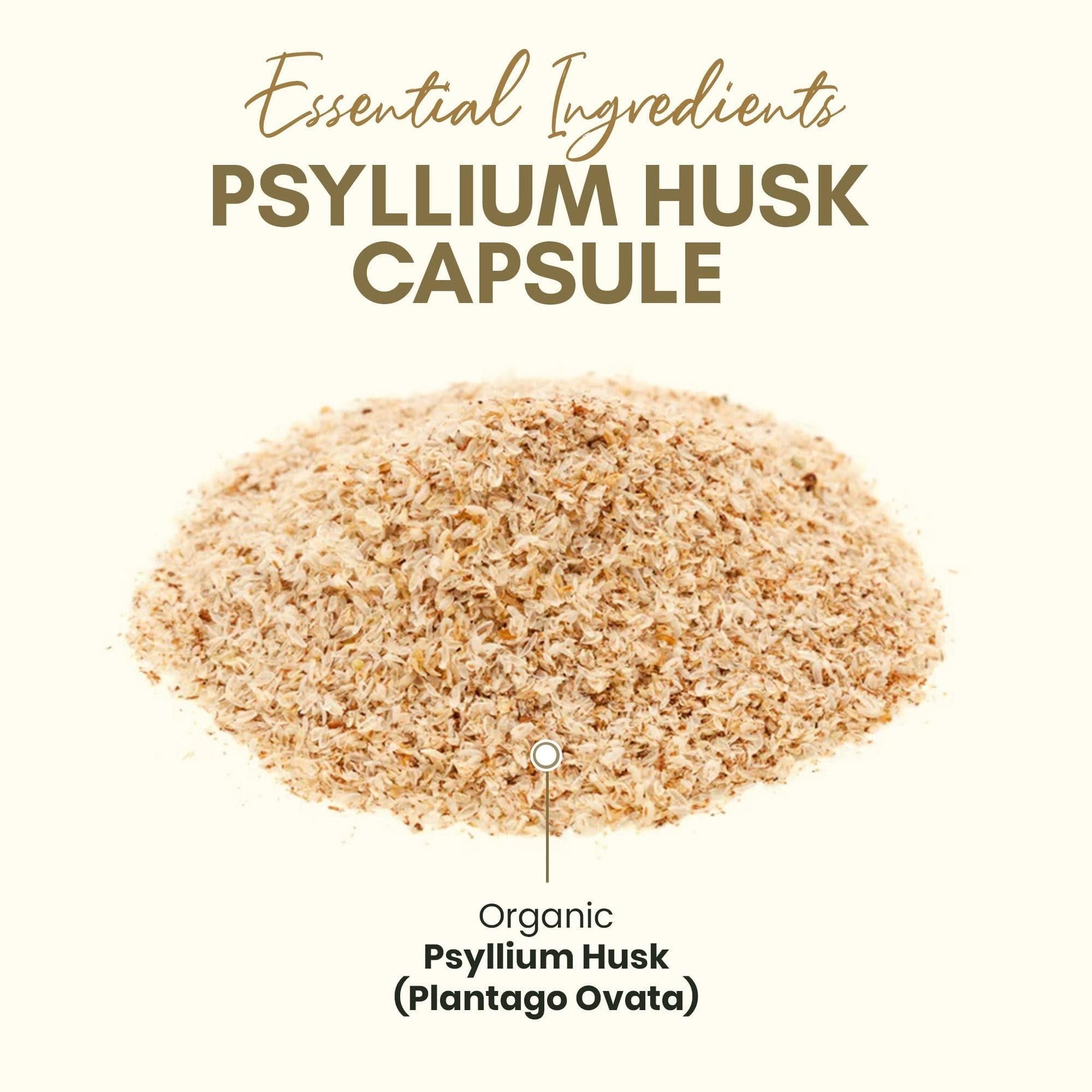 Psyllium Husk Capsules All Natural Fiber Supplement for Gut Health 750 Mg 250 Capsules image 4