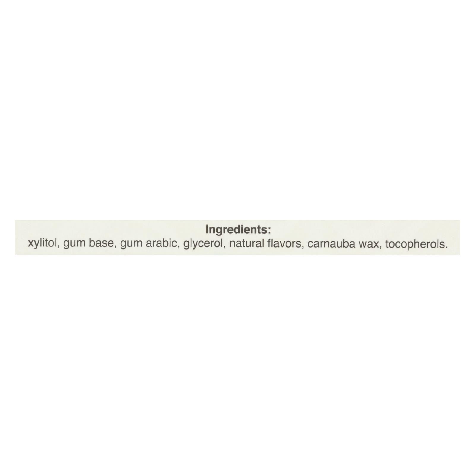 Pur Gum - Cinnamon - Aspartame Free - 9 Pieces - 12.6 G - Case Of 12 image 1