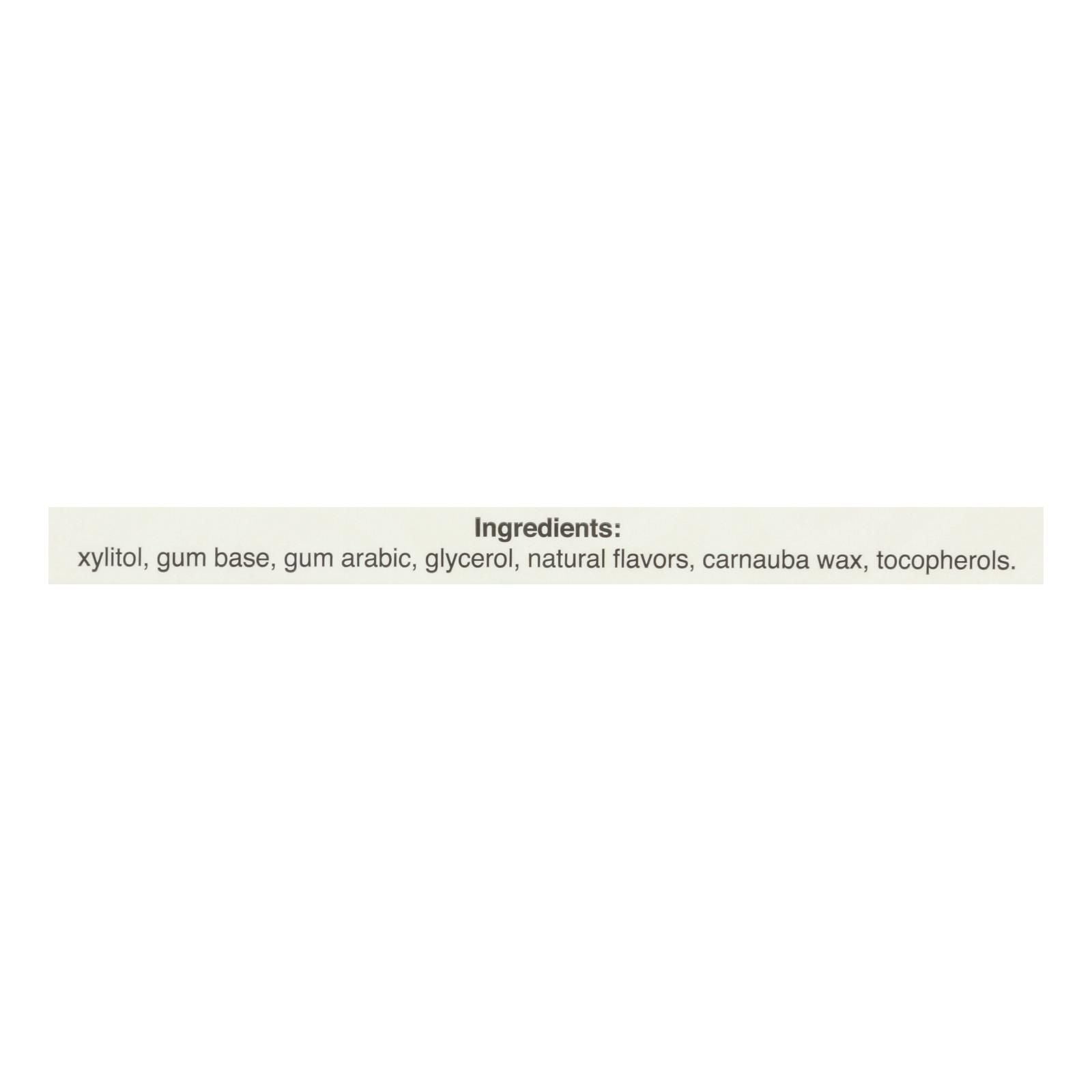 Pur Gum - Cinnamon - Aspartame Free - 9 Pieces - 12.6 G - Case Of 12 image 3
