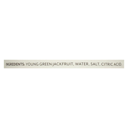Roland Products - Jackfruit In Brine - Case Of 12-19 Oz image 3