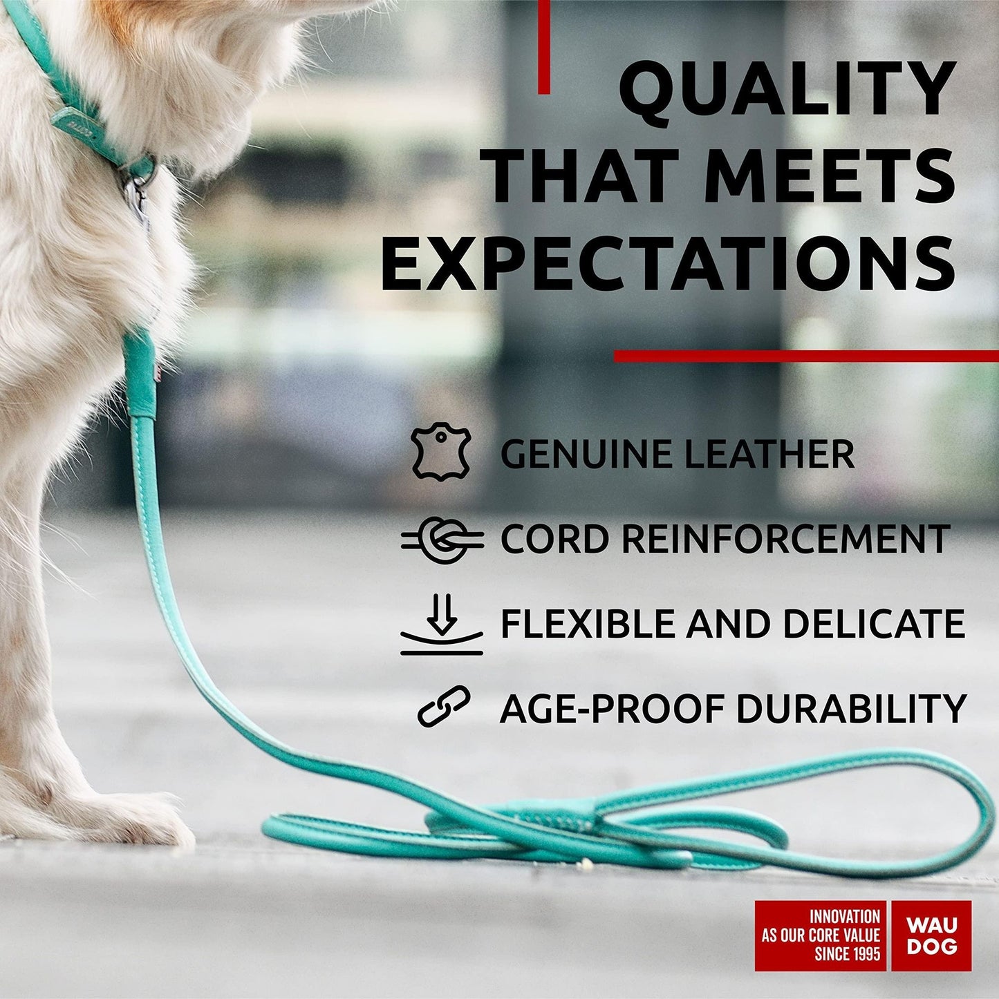 Rolled Leather Dog Leash 4Ft * 0.4 in for Small Medium and Large Dogs Heavy Duty Leather Puppy Leash for Outdoor Walking image 3
