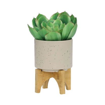 S/2 5/8" PLANTER W/ WOOD STAND, MATTE BEIGE image 4