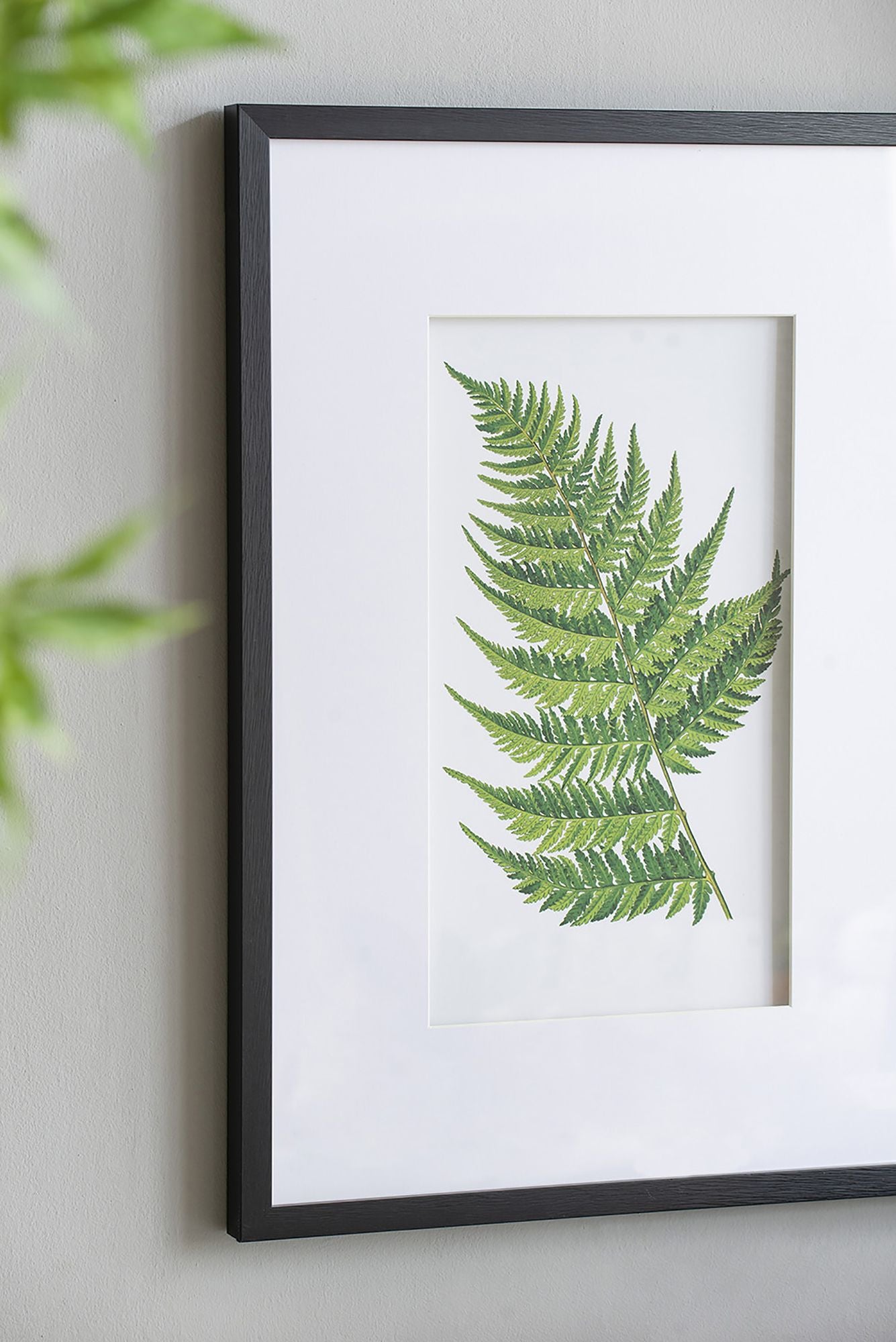 Set of 4 Botanical Black And White Fern Wall Art , Wall Decor for Living Room Dining Room Entryway, 20" x 28" image 14