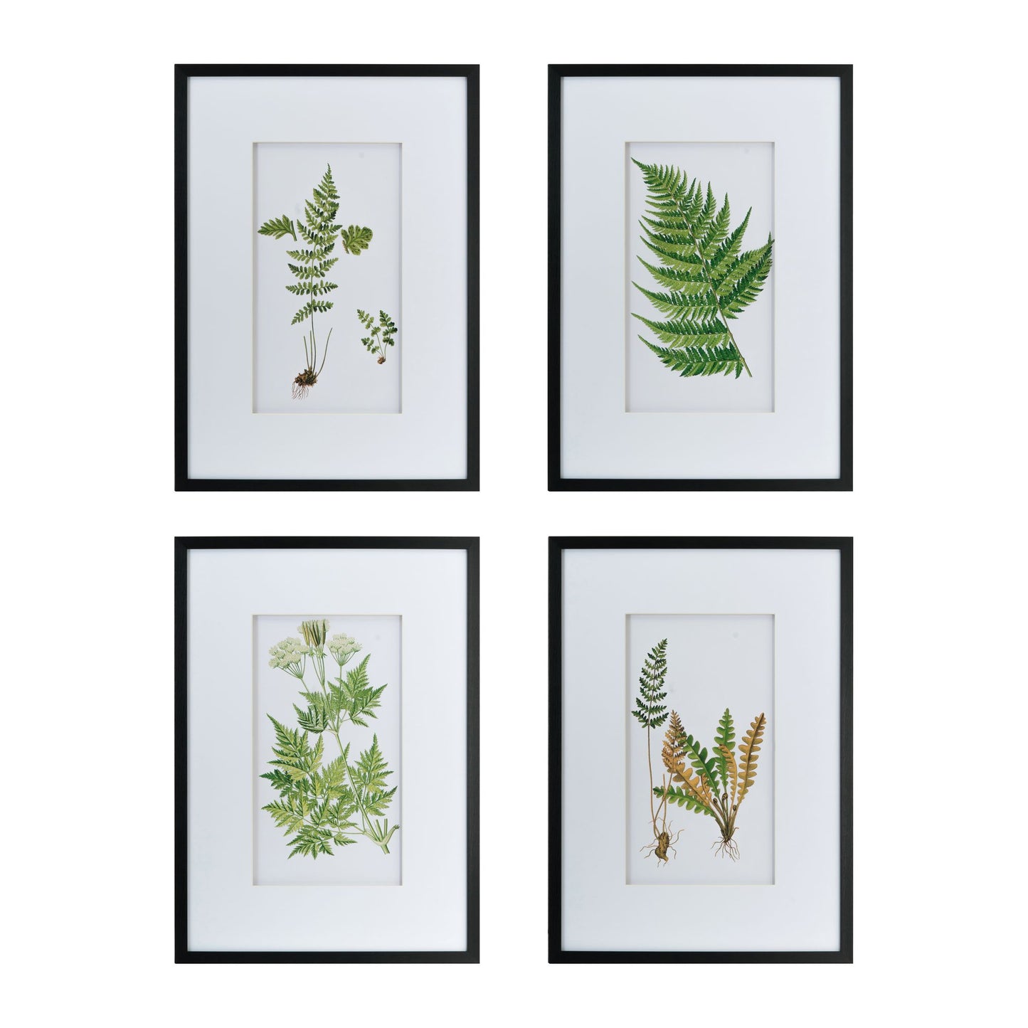 Set of 4 Botanical Black And White Fern Wall Art , Wall Decor for Living Room Dining Room Entryway, 20" x 28" image 7