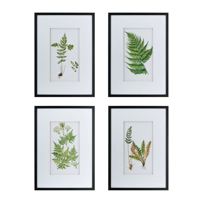 Set of 4 Botanical Black And White Fern Wall Art , Wall Decor for Living Room Dining Room Entryway, 20" x 28" image 7