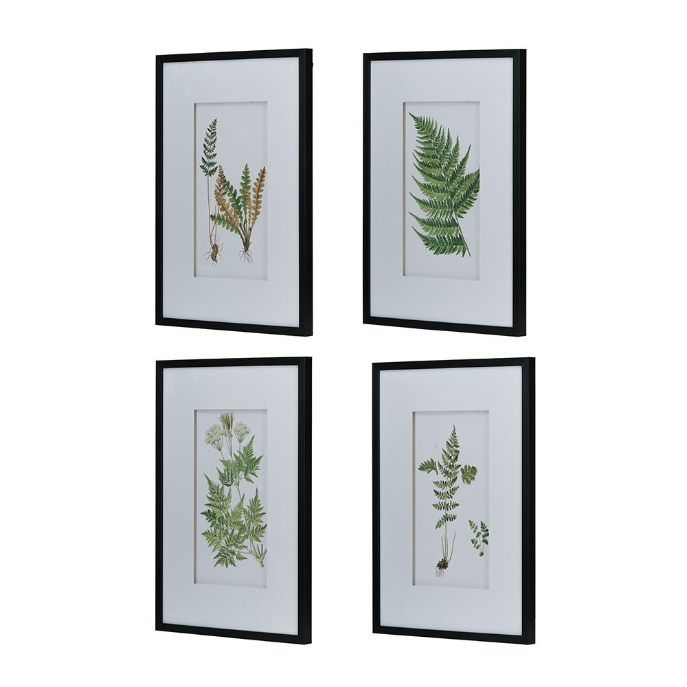 Set of 4 Botanical Black And White Fern Wall Art , Wall Decor for Living Room Dining Room Entryway, 20" x 28" image 8