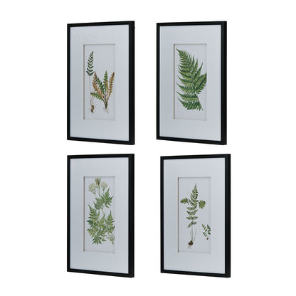 Set of 4 Botanical Black And White Fern Wall Art , Wall Decor for Living Room Dining Room Entryway, 20" x 28" image 8