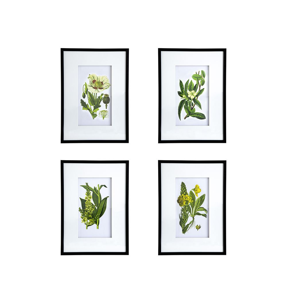 Set of 4 Botanical Flower Wall Art, Home Decor for Living Room, Dining Room, Bedroom, Hallway, 20" x 28" image 5