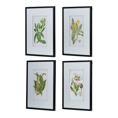Set of 4 Botanical Flower Wall Art, Home Decor for Living Room, Dining Room, Bedroom, Hallway, 20" x 28" image 3
