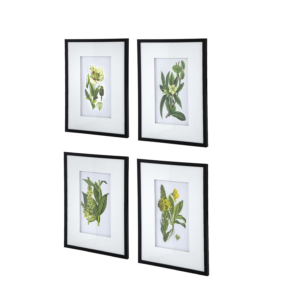 Set of 4 Botanical Flower Wall Art, Home Decor for Living Room, Dining Room, Bedroom, Hallway, 20" x 28" image 2