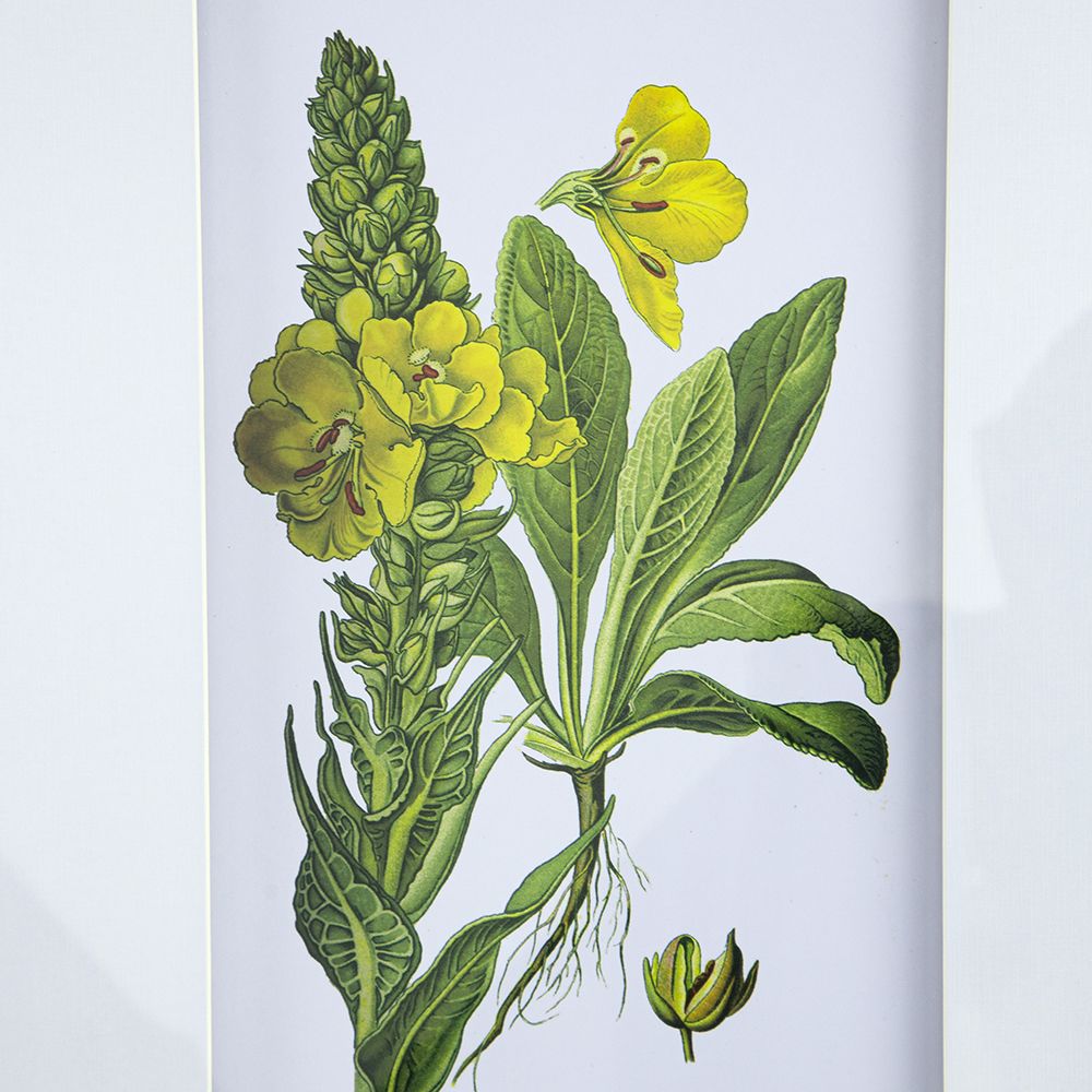 Set of 4 Botanical Flower Wall Art, Home Decor for Living Room, Dining Room, Bedroom, Hallway, 20" x 28" image 14