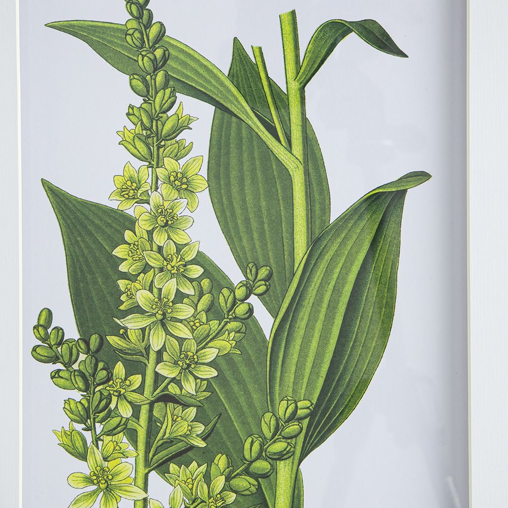 Set of 4 Botanical Flower Wall Art, Home Decor for Living Room, Dining Room, Bedroom, Hallway, 20" x 28" image 13