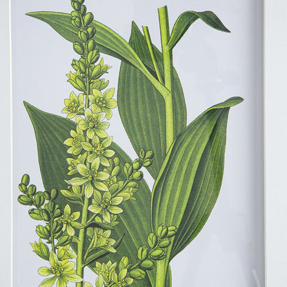 Set of 4 Botanical Flower Wall Art, Home Decor for Living Room, Dining Room, Bedroom, Hallway, 20" x 28" image 13