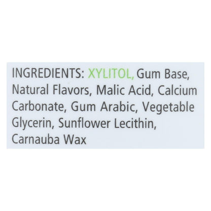 Spry Chewing Gum - Fresh Fruit - 100 Count image 1