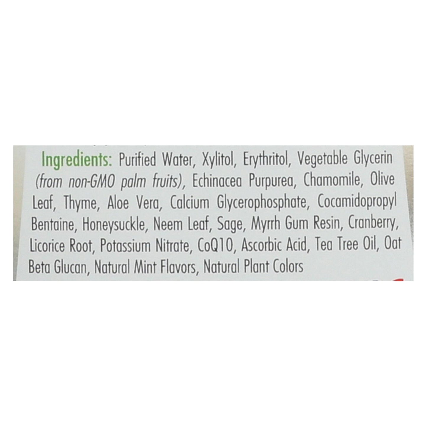 Spry Mouth Wash - Herbal Mint - Af - 16 Fl Oz image 2
