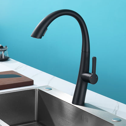 Stainless Steel Pull Out Kitchen Faucet image 2