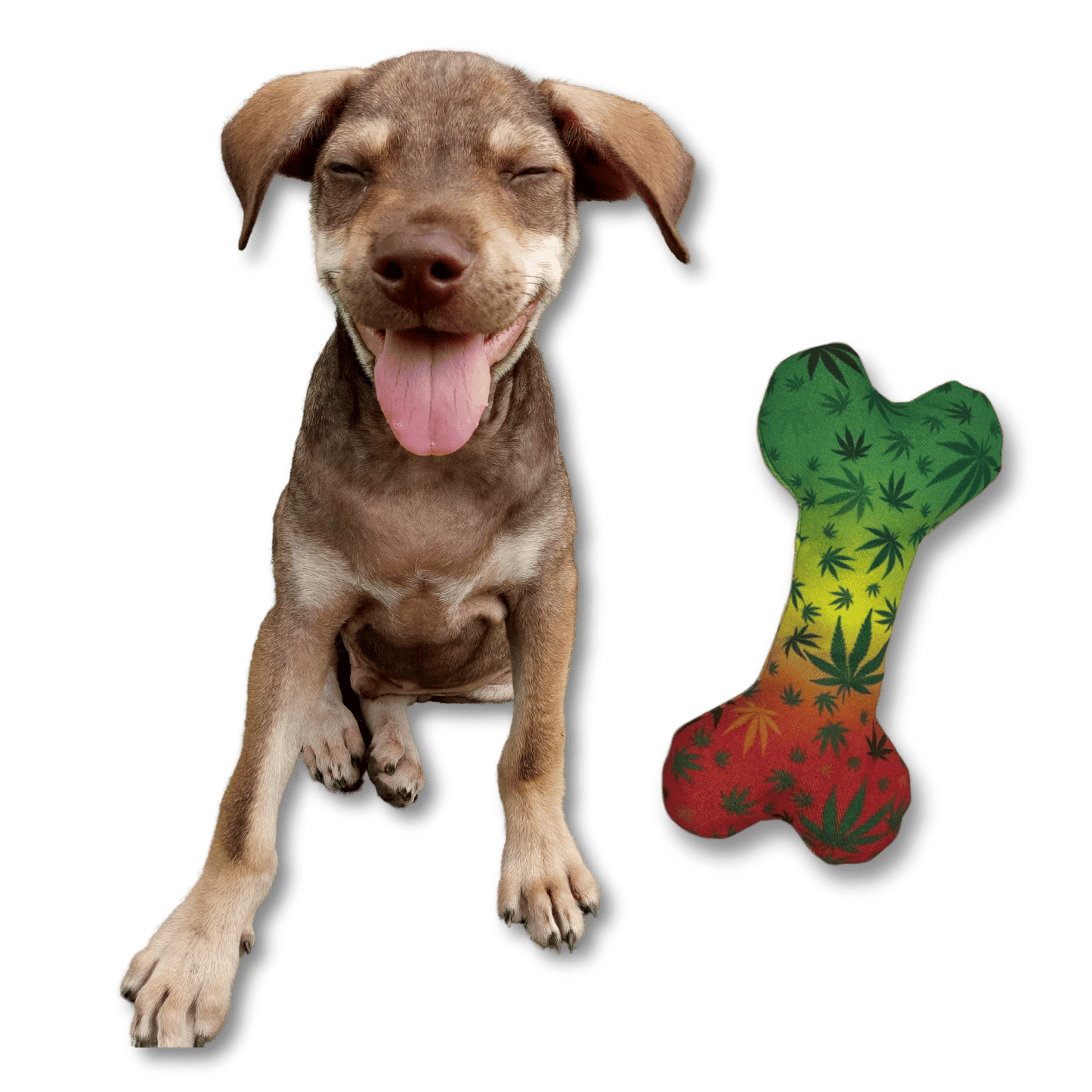 Stoned to da Bone, Cute Stuffed Rasta Leaf Bone Dog Toy, Funny Squeaky Weed Toy, Cool Plush Novelty 420 Gift for for Pup image 7