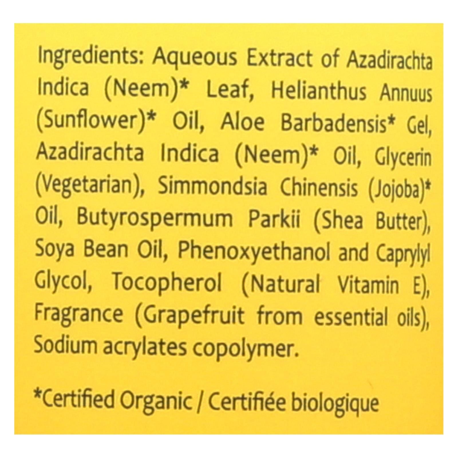 Theraneem Leaf And Oil Lotion - 1 Each - 8 Fz image 2