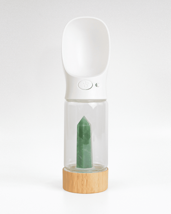 Urban Oasis - Crystal Infused Pet Water Bottle image 7