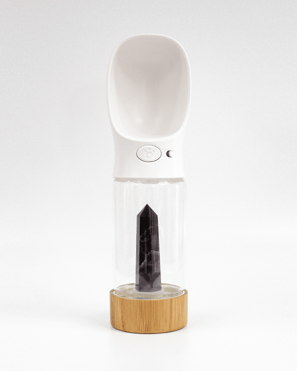 Urban Oasis - Crystal Infused Pet Water Bottle image 4
