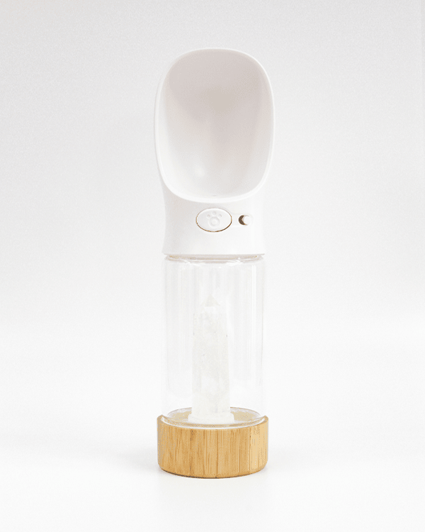 Urban Oasis - Crystal Infused Pet Water Bottle image 15