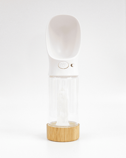 Urban Oasis - Crystal Infused Pet Water Bottle image 15
