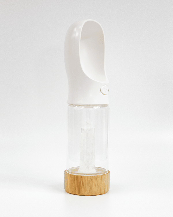 Urban Oasis - Crystal Infused Pet Water Bottle image 17