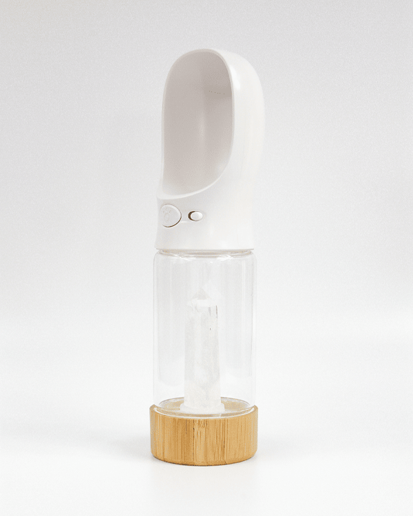Urban Oasis - Crystal Infused Pet Water Bottle image 16