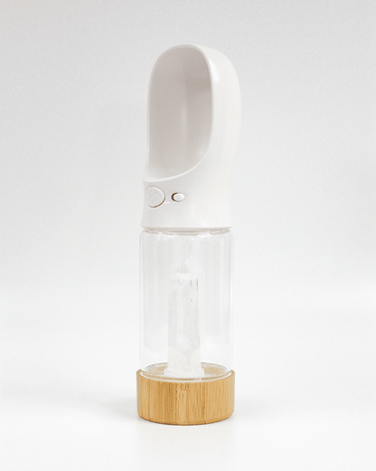 Urban Oasis - Crystal Infused Pet Water Bottle image 16