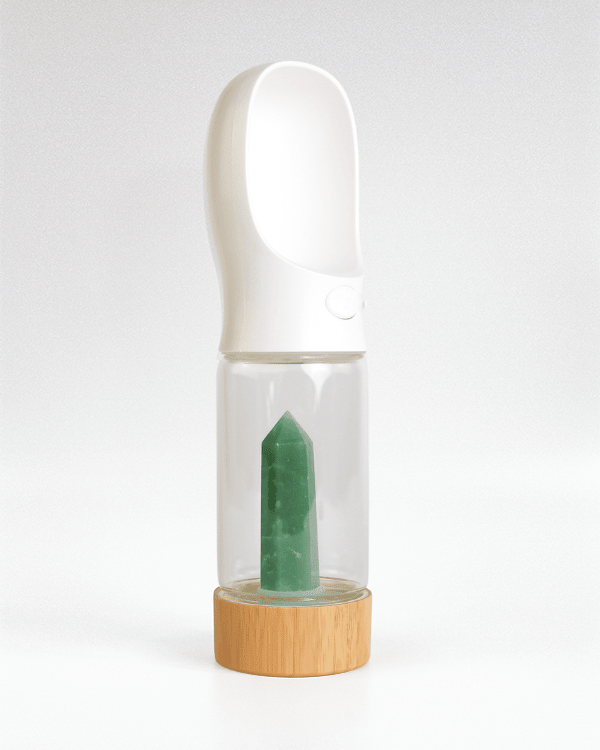 Urban Oasis - Crystal Infused Pet Water Bottle image 9