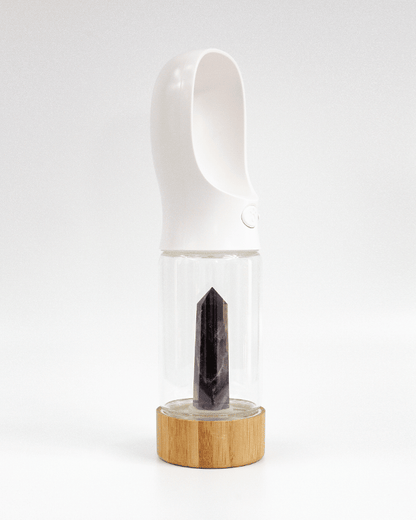 Urban Oasis - Crystal Infused Pet Water Bottle image 6