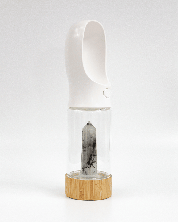 Urban Oasis - Crystal Infused Pet Water Bottle image 3