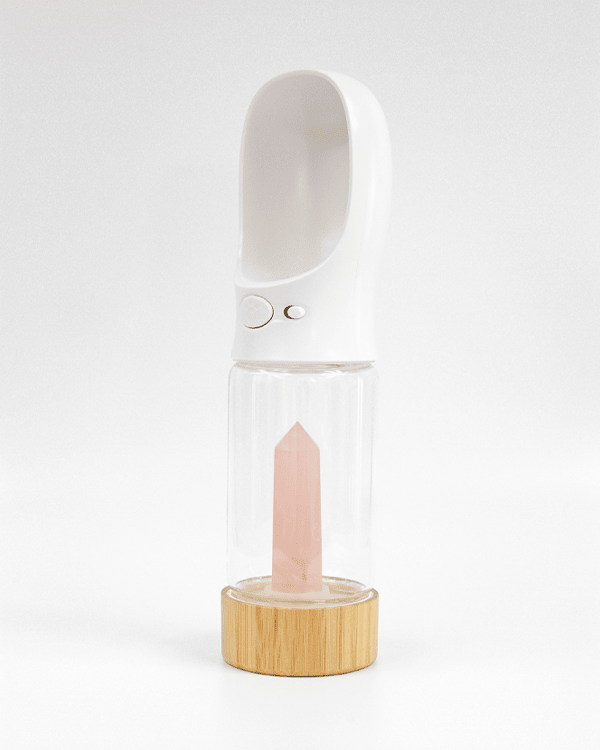 Urban Oasis - Crystal Infused Pet Water Bottle image 19