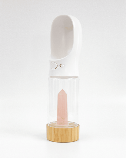 Urban Oasis - Crystal Infused Pet Water Bottle image 19
