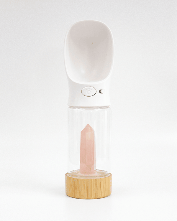 Urban Oasis - Crystal Infused Pet Water Bottle image 18