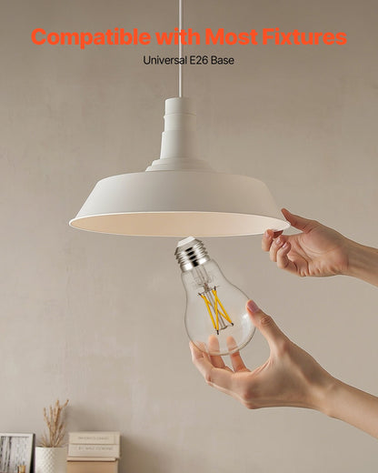VEVOR 6 Pack Edison Bulbs LED, A19 Vintage Edison Light Bulbs, 4.5W Dimmable 450 Lumens, 2700K Warm White, E26 Base LED Filament Bulb, Antique Glass Style for Home, Bedroom, Office, Farmhouse,CRI80+ - ADSDP6GA1900P0T50001V6 - view 6