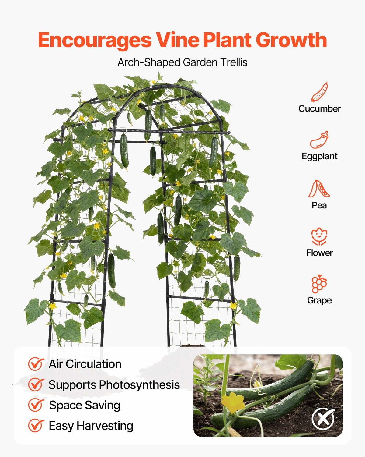 VEVOR Cucumber Trellis, U-Shape Garden Trellises for Raised Bed, Metal Arch Plant Support for Vine, Climbing Plants Outdoor, Peas, Beans, Zucchini, Tomato, Squash, Flower (32.01 x 31.5 x 80.71 in) - BSGXHGPJBSGC49FJW001V0 - view 5