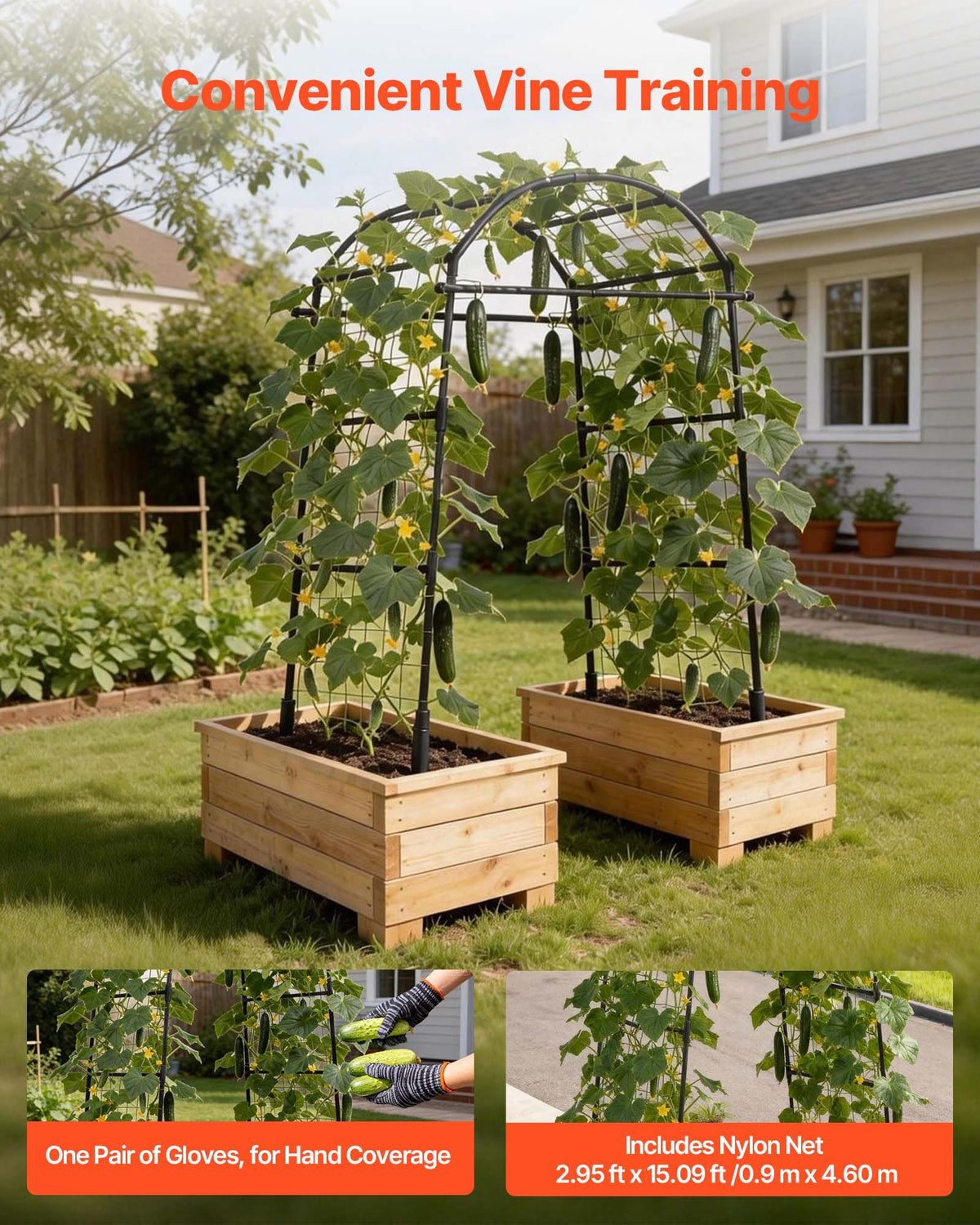 VEVOR Cucumber Trellis, U-Shape Garden Trellises for Raised Bed, Metal Arch Plant Support for Vine, Climbing Plants Outdoor, Peas, Beans, Zucchini, Tomato, Squash, Flower (32.01 x 31.5 x 80.71 in) - BSGXHGPJBSGC49FJW001V0 - view 6