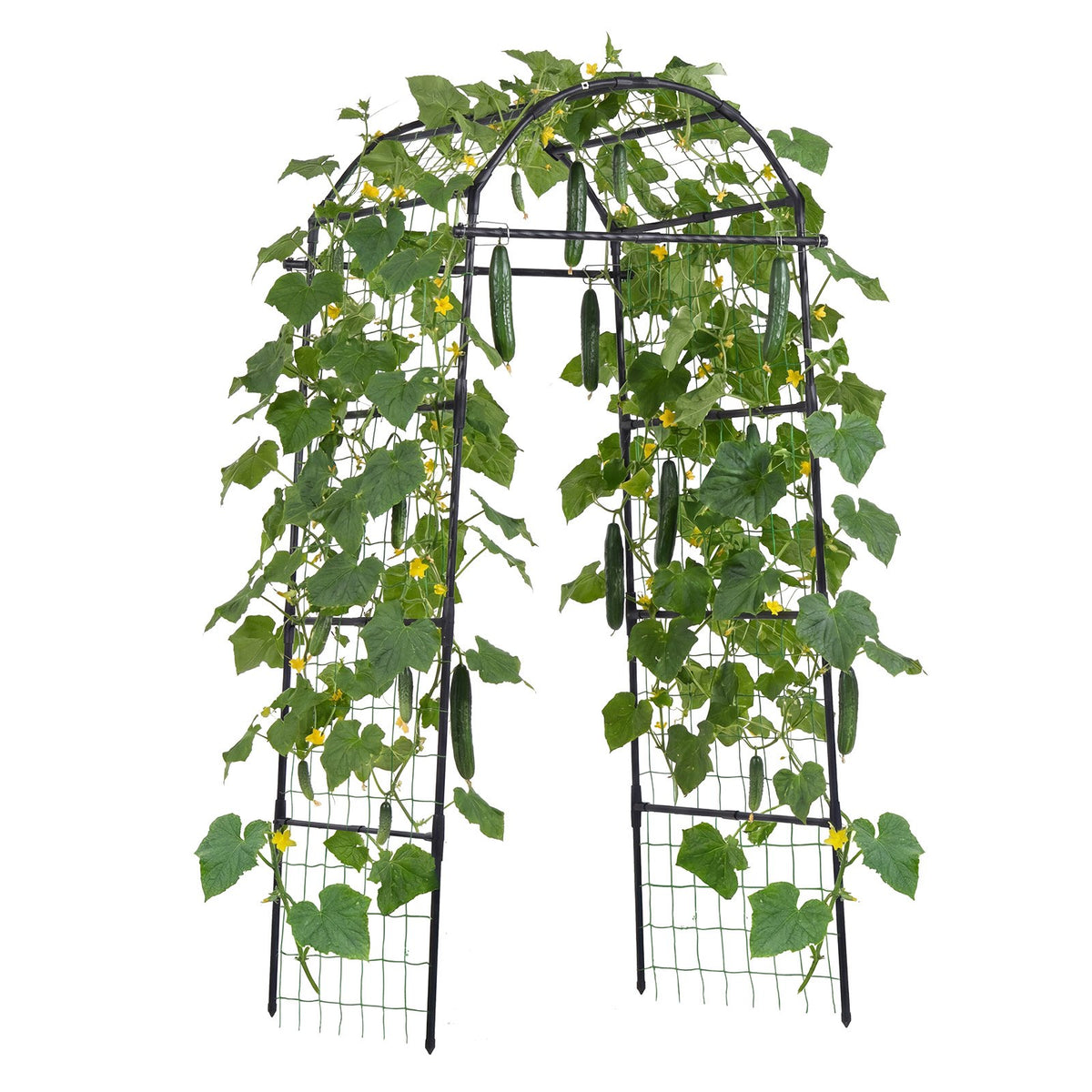 VEVOR Cucumber Trellis, U-Shape Garden Trellises for Raised Bed, Metal Arch Plant Support for Vine, Climbing Plants Outdoor, Peas, Beans, Zucchini, Tomato, Squash, Flower (32.01 x 31.5 x 80.71 in) - BSGXHGPJBSGC49FJW001V0 - view 10