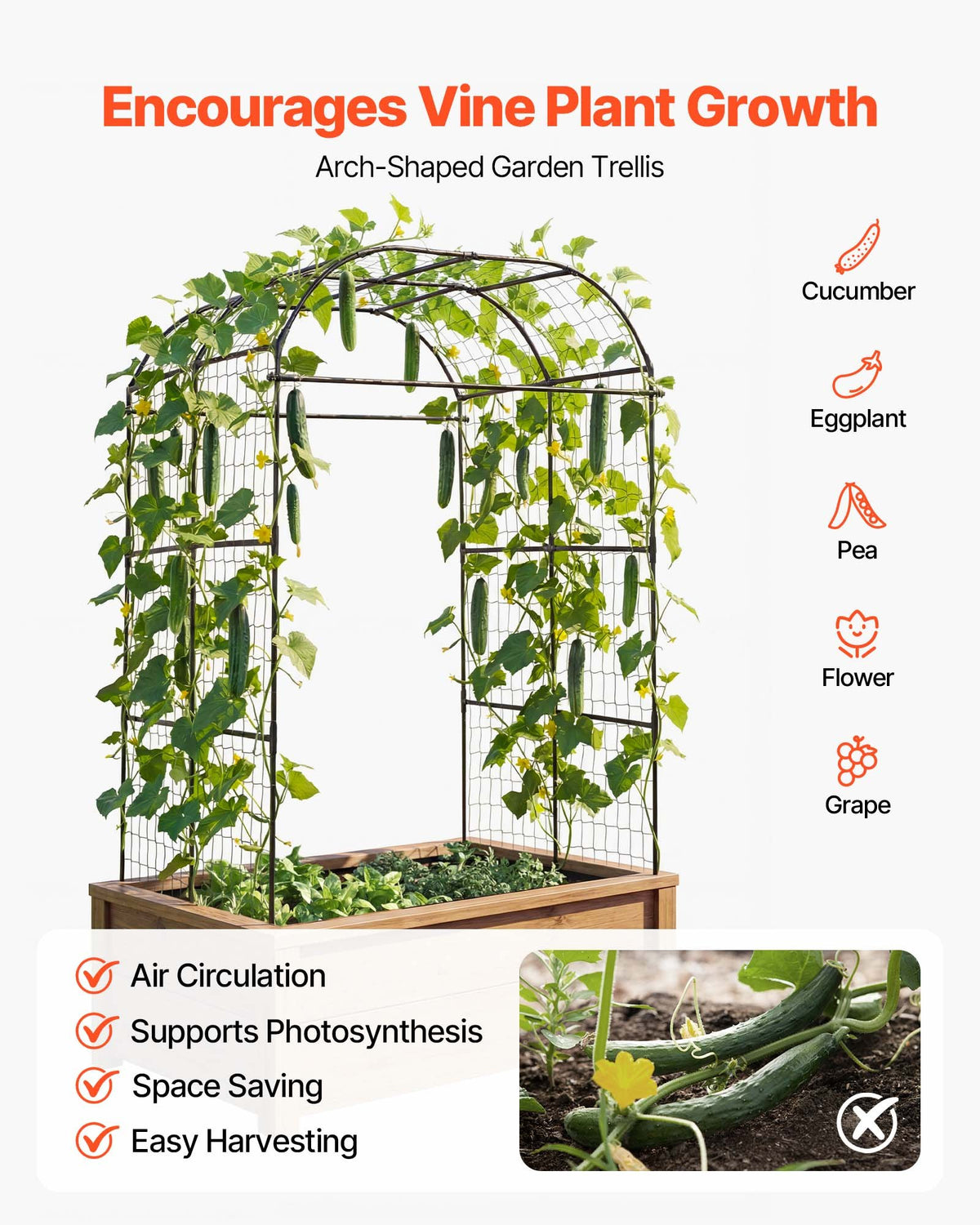 VEVOR Cucumber Trellis, U-Shape Garden Trellises for Raised Bed, Metal Wide Top Arch Plant Support for Vine, Climbing Plants, Peas, Beans, Zucchini, Tomato, Squash, Flower (71.26 x 64.96 x 82.68 in) - BSGXHGPJBSGCV598A001V0 - view 5