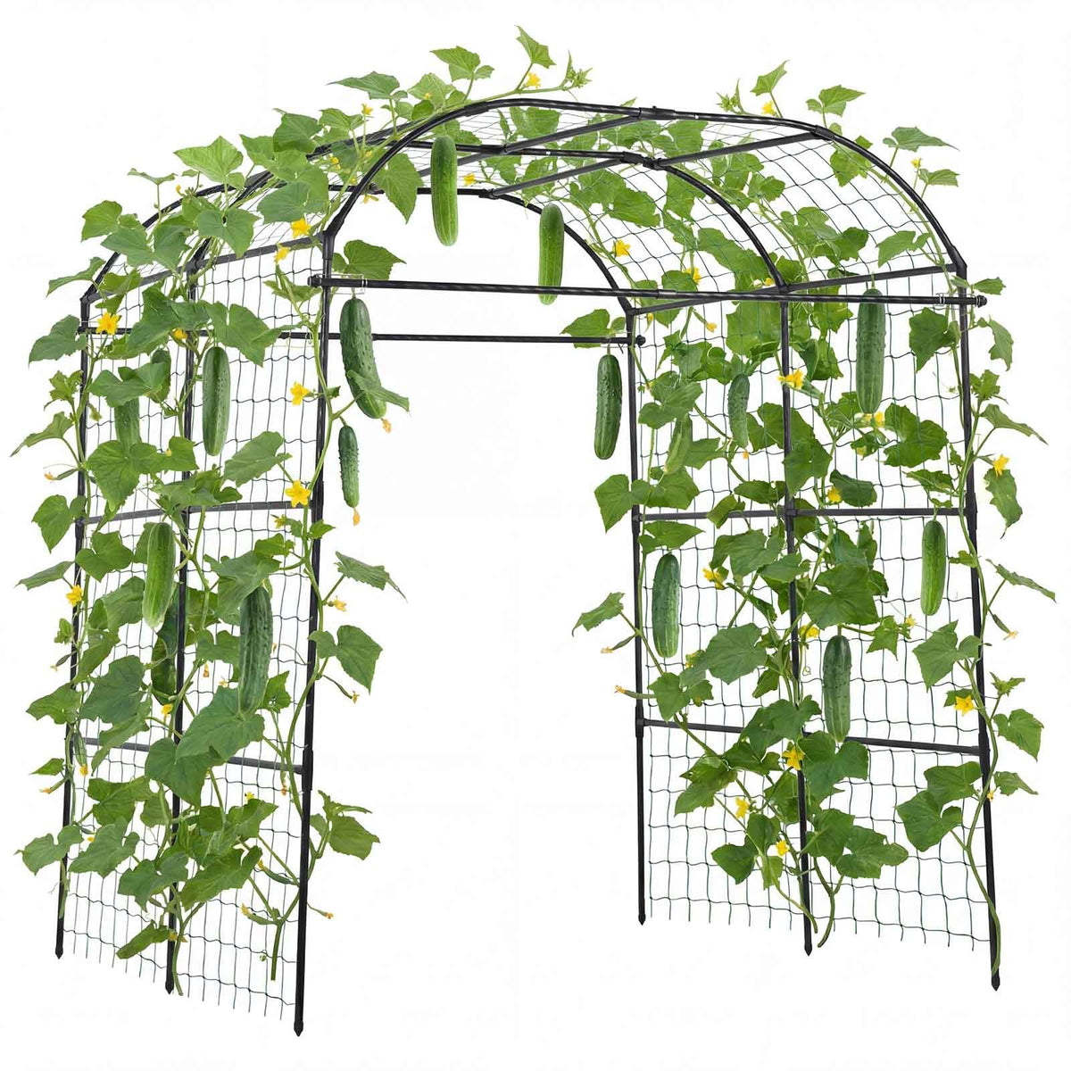 VEVOR Cucumber Trellis, U-Shape Garden Trellises for Raised Bed, Metal Wide Top Arch Plant Support for Vine, Climbing Plants, Peas, Beans, Zucchini, Tomato, Squash, Flower (71.26 x 64.96 x 82.68 in) - BSGXHGPJBSGCV598A001V0 - view 10