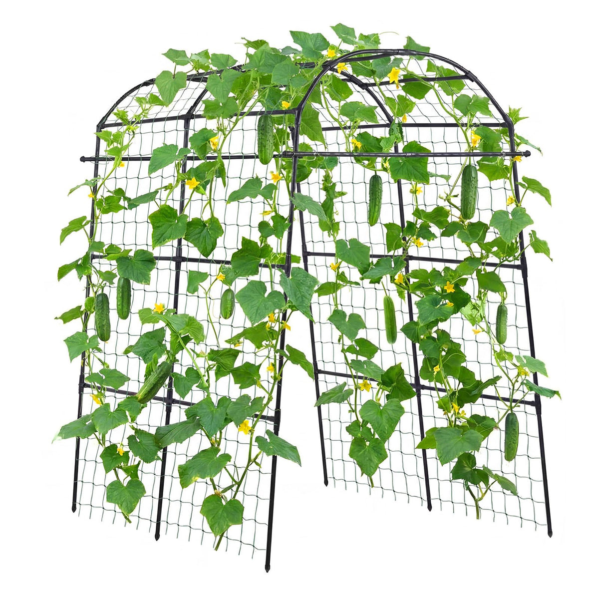 VEVOR Cucumber Trellis, U-Shape Garden Trellises for Raised Bed, Metal Arch Plant Support for Vine, Climbing Plants Outdoor, Peas, Beans, Zucchini, Tomato, Squash, Flower (70.87 x 44.09 x 82.99 in) - BSGXHGPJBSGCWVYEB001V0 - view 1