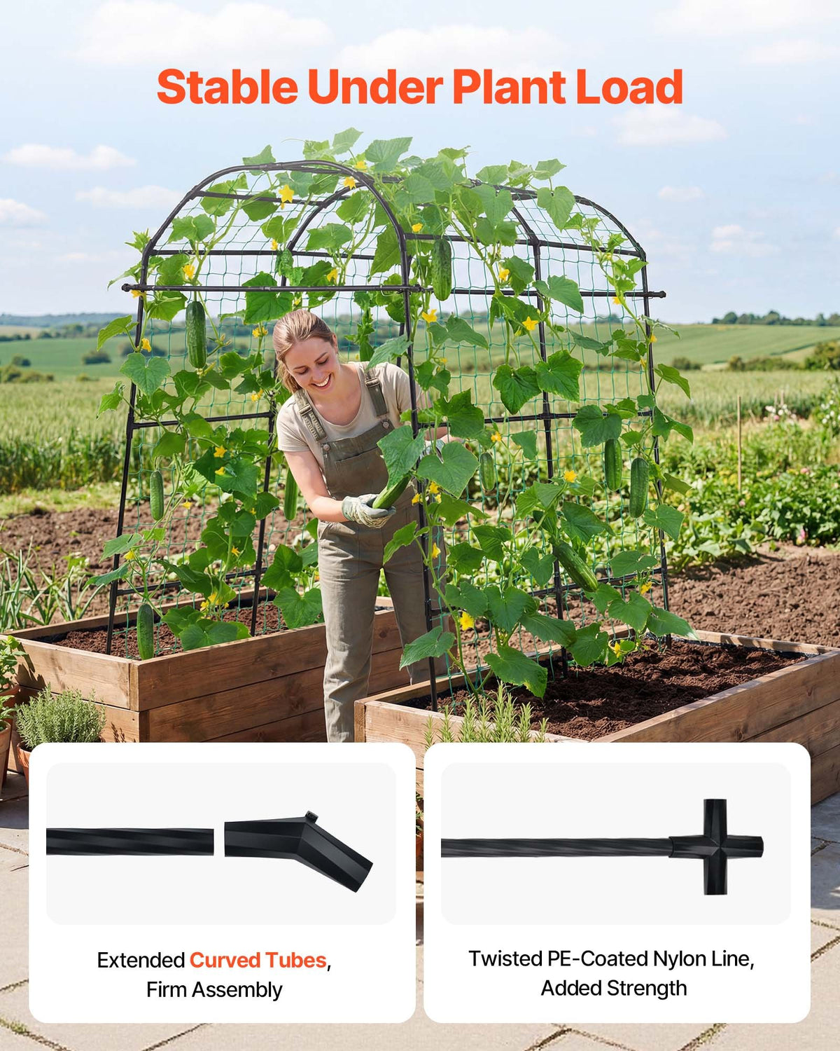 VEVOR Cucumber Trellis, U-Shape Garden Trellises for Raised Bed, Metal Arch Plant Support for Vine, Climbing Plants Outdoor, Peas, Beans, Zucchini, Tomato, Squash, Flower (70.87 x 44.09 x 82.99 in) - BSGXHGPJBSGCWVYEB001V0 - view 4