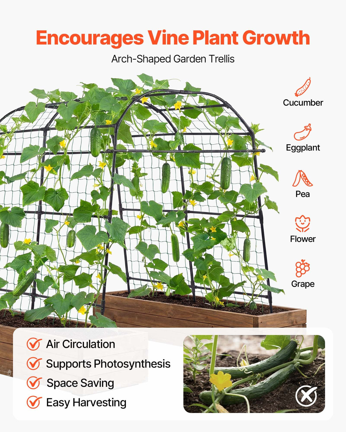 VEVOR Cucumber Trellis, U-Shape Garden Trellises for Raised Bed, Metal Arch Plant Support for Vine, Climbing Plants Outdoor, Peas, Beans, Zucchini, Tomato, Squash, Flower (70.87 x 44.09 x 82.99 in) - BSGXHGPJBSGCWVYEB001V0 - view 5