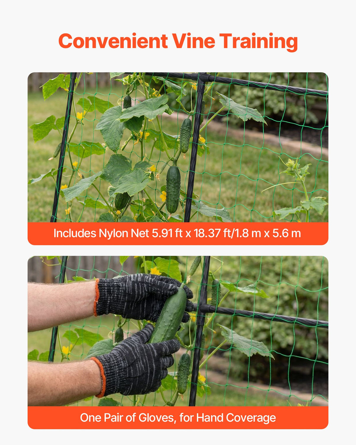 VEVOR Cucumber Trellis, U-Shape Garden Trellises for Raised Bed, Metal Arch Plant Support for Vine, Climbing Plants Outdoor, Peas, Beans, Zucchini, Tomato, Squash, Flower (70.87 x 44.09 x 82.99 in) - BSGXHGPJBSGCWVYEB001V0 - view 6